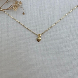 09.2317.1.O - (35) Colar infantil mini coração liso