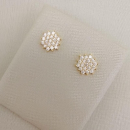 07.2798.1.O - Brinco heptágono cravejado